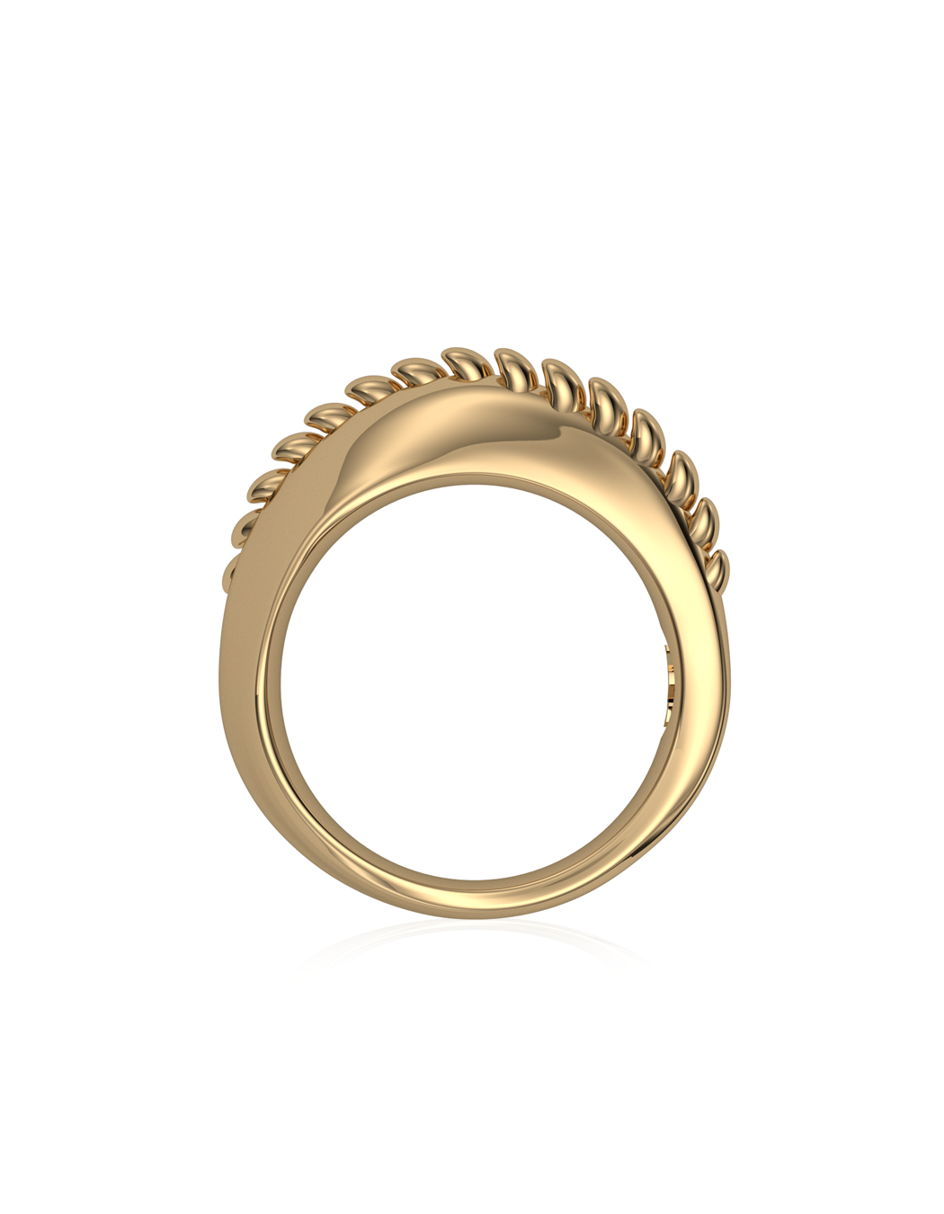 Mobius Iguana Ring 14k Gold